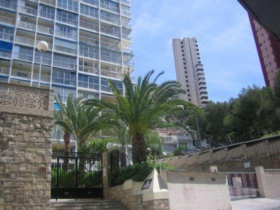 Rita Home בנידורם מראה חיצוני תמונה